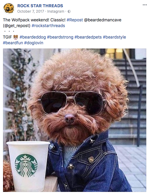 Social Media Agency - Create Viral Content